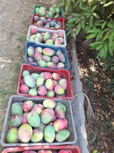 0ac9cc0e-5ea0-4bf0-a788-27673b8903e3