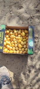 24a3902b-b3b3-4777-a7a5-4ae92599d46a