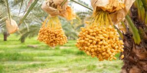 40c1e723-90b7-4d7e-90c2-05db9bd3587e