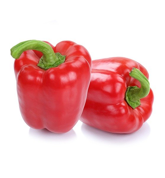 573d81b2-71a6-45a9-9e3c-41335056d5dc