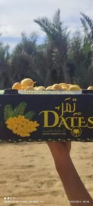 61dfe9e7-dd68-4db0-be90-6bde5bd8bc25