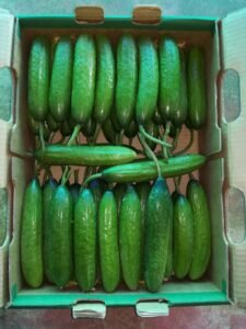 691de823-e135-4fcf-ba21-0bbfc62b1012