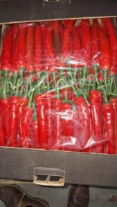 69e65a61-c88f-4645-9296-99947fee9f37