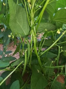 7a7c4f49-3b95-4ead-9440-0d91f876e59a