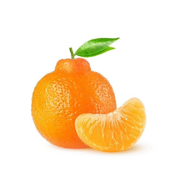 7f2e527b-840e-4ed8-b9fd-3b800e32fd93