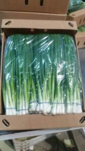 839c2865-fd2d-452f-8f3c-9de64e13cf58