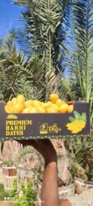 8727b001-b5bb-4919-ad24-904ee6a76b70