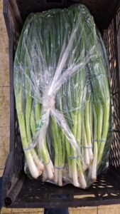 9548627c-8797-4643-94b0-3f68cc103f3d