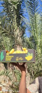 9c454ccc-062f-4310-821e-b07e1c76fb3b