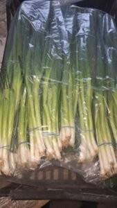 a0ba4e7d-4bab-49a7-aa79-f56811a9cbe7