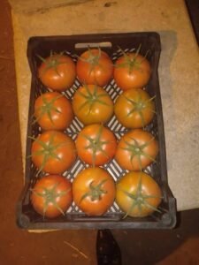 b9cdcca5-7535-41ee-858b-79db26a11778