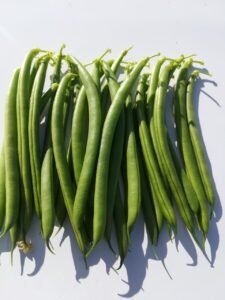 cc8374eb-ca26-48b7-8361-2b1a61bb41c0