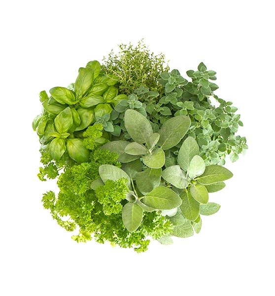 dd7c672d-0ef0-40f5-b406-1666fd1c593d