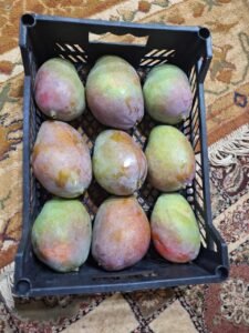 fff1a0bc-e3ac-4801-8b36-f8f4e3bff450